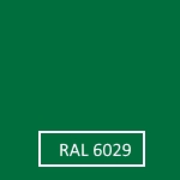 ral 6029